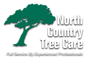 North Country Tree Care